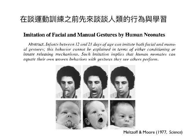 Rubber Doll Bound Shemale Imitation Of Facial And Manual Gestures By Human Neonates